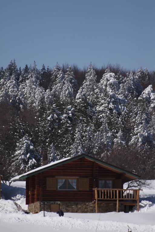Sfendamos Wood Village Naousa (Imathia)