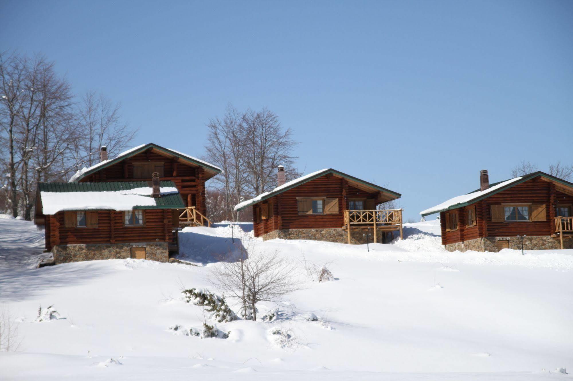 Sfendamos Wood Village Naousa (Imathia)
