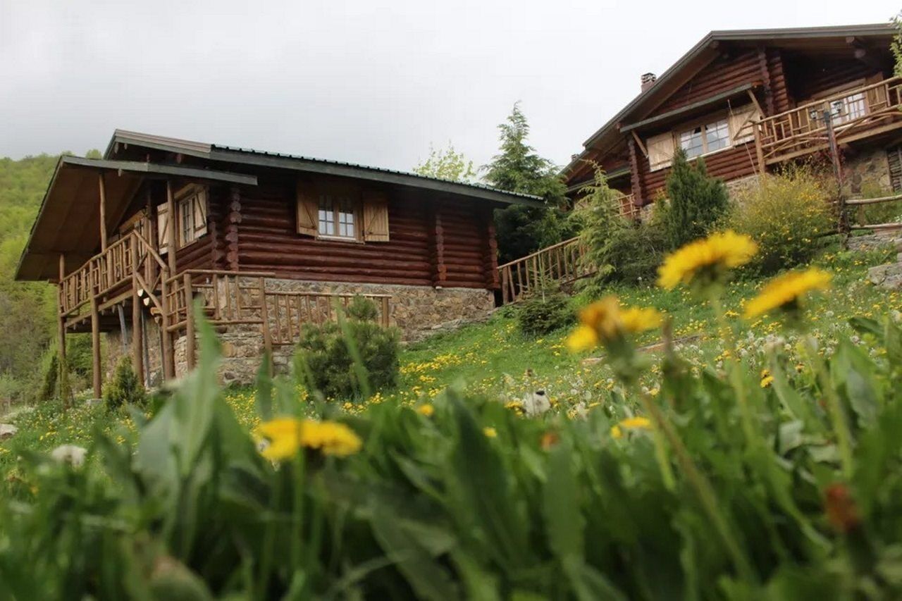 Sfendamos Wood Village Hotel